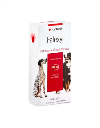 Falexyl Antibiótico para Cães com 14 Comprimidos 600mg UCBVET
