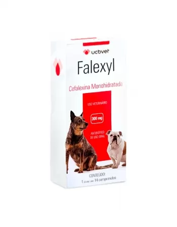 Falexyl Antibiótico para Cães com 14 Comprimidos 300mg UCBVET