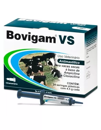 Validade 30/06/2024 - Bovigam VS Antibiótico Antimastítico Vaca Seca Seringa 4,5g Elanco