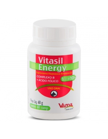 Vitasil Energy Suplemento Vitamínico Aminoácido para Cães 60g Vansil